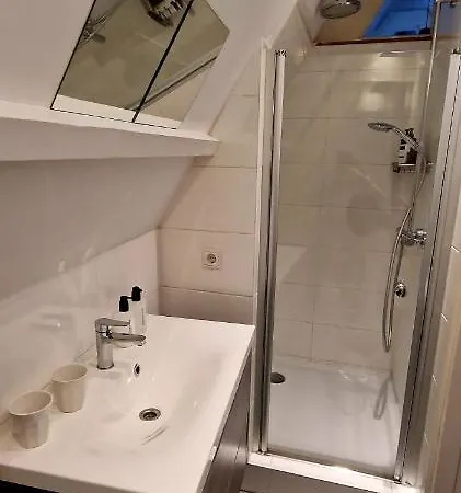 Zini Haarlem
